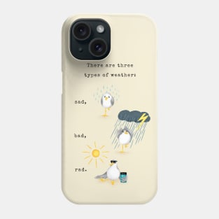 Three Types of Weather Phone Case