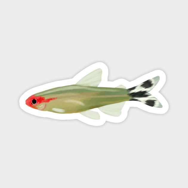 Rummy-Nose Tetra Magnet by Lyuda