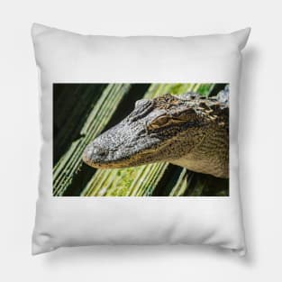 Grand Alligator Pillow