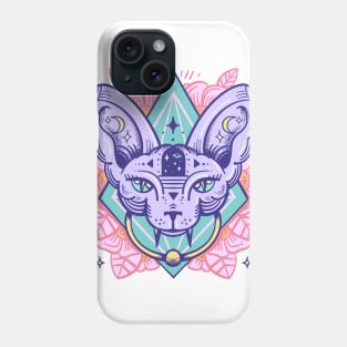 Sphynx door knocker Phone Case