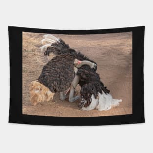 Ostrich Display Tapestry