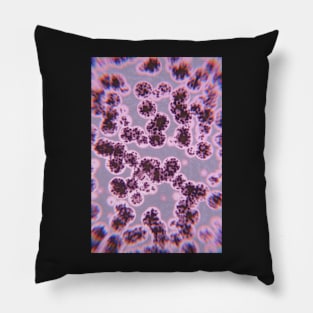 Cells And Biological Tissues Pillow