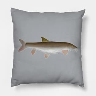 Barbel Pillow