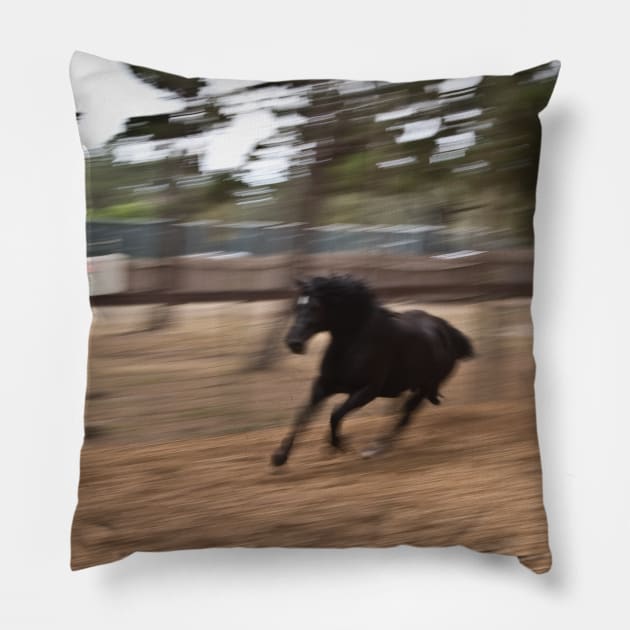 Running Black Beauty Pillow by Sassifrassically's  'Swasome Shop