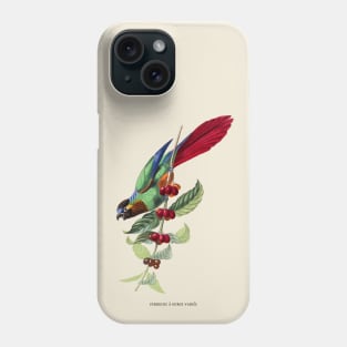 Colorful Parrot Antique Naturalist Illustration Phone Case