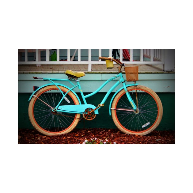 Beach Cruiser Bike by Cynthia48