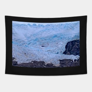 At the Glacier's Edge - Arctic Svalbard Tapestry