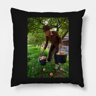 Senior farmer picking apples Pillow