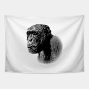 Chimpanzee Tapestry