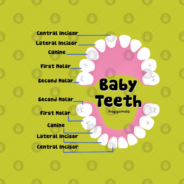 Baby Teeth names illustration - for Dentists, Hygienists, Dental Assistants, Dental Students and anyone who loves teeth by Happimola by Happimola