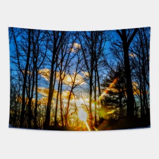 sunset in the woods Tapestry