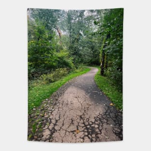 Late September Morning New England Nature Walk - winding path Tapestry