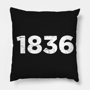 1836 - Texas Revolution & The Alamo Pillow