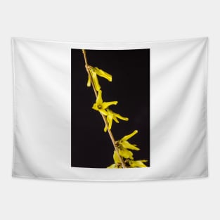 Forsythia Flowers 2 Tapestry