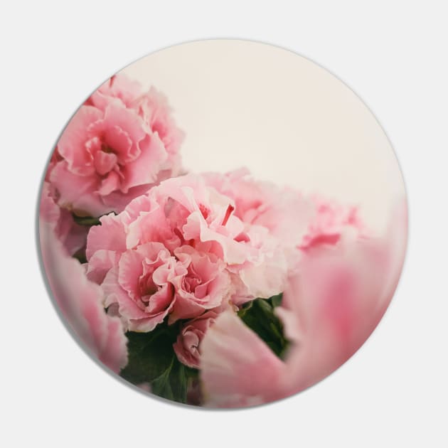 Close up Azalea flowers Pin by psychoshadow