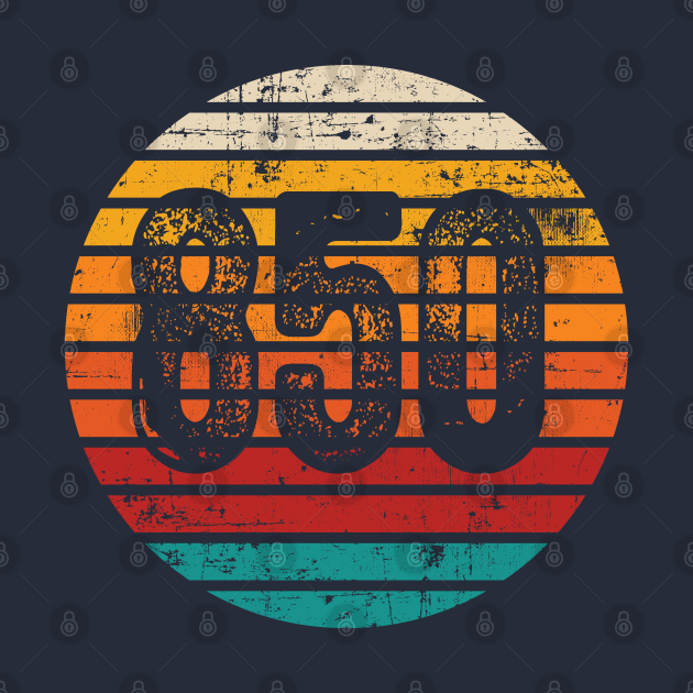 Distressed vintage sunset 850 area code 850 area code t shirt 