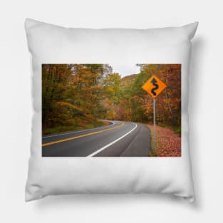 Winding Autumn Road Pillow