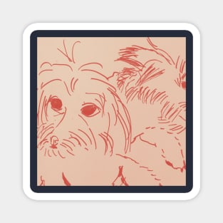 Maltipoo Drawing Sketch Magnet