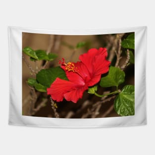 Red Hibiscus Flower Tapestry