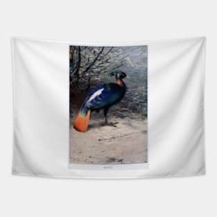 Monal Tapestry