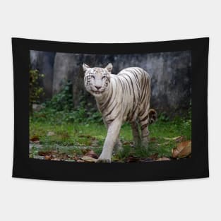 White Bengal Tiger Tapestry