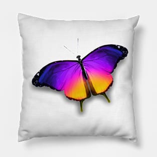 Colorful Butterfly Pillow