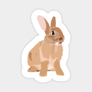 Brown Rabbit Magnet