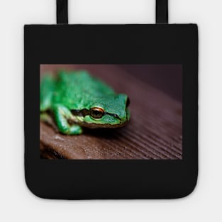 Tree frog on wood Tote