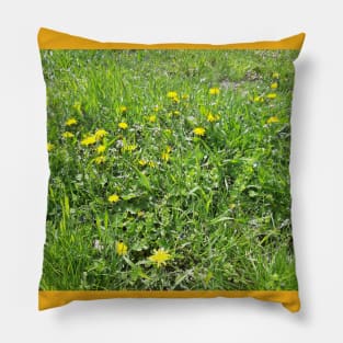 Spring grass, flowers, nature photo Pillow