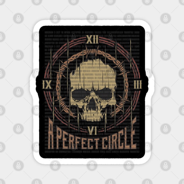 A Perfect Circle Vintage Skull Magnet by darksaturday