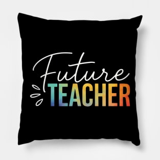 Future teacher, this one’s for you! Pillow