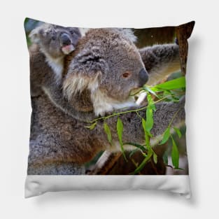 I love you-calyptus - Eucalyptus Koala original design Pillow