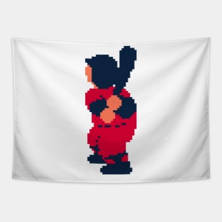 RBI Baseball Batter - Cleveland Tapestry