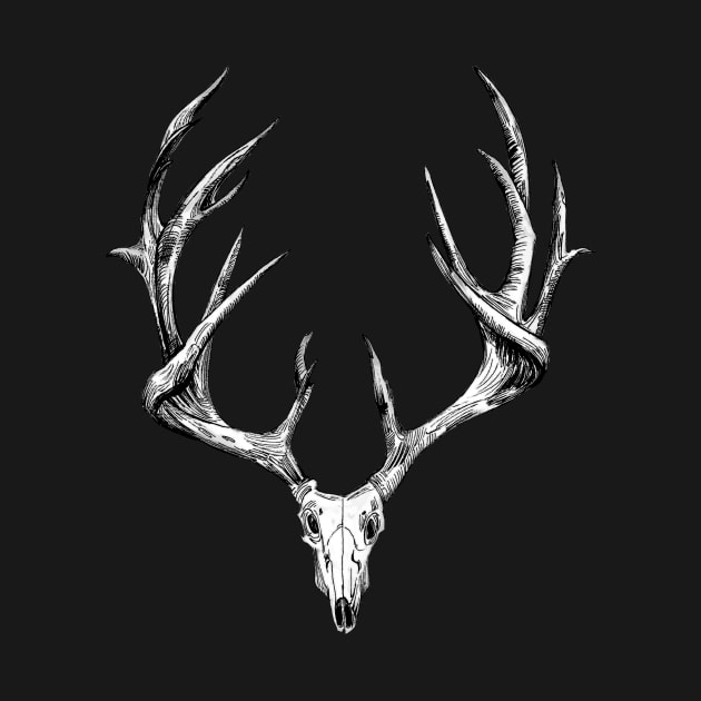 Stag Skull by jassrc