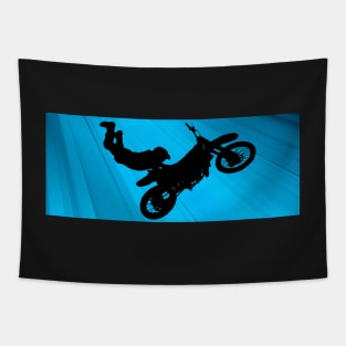 Flying On Wheels Tapestry