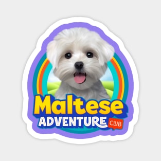 Maltese dog Magnet