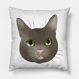 Miaow Pillow