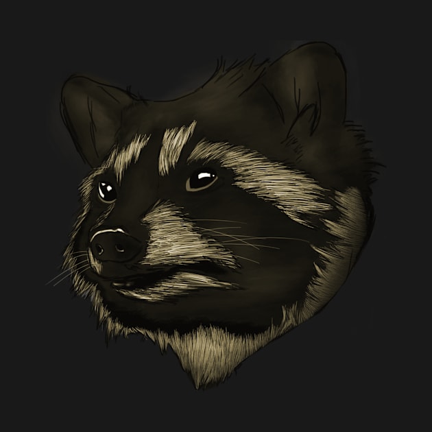 Rocky Raccoon by anghewolf