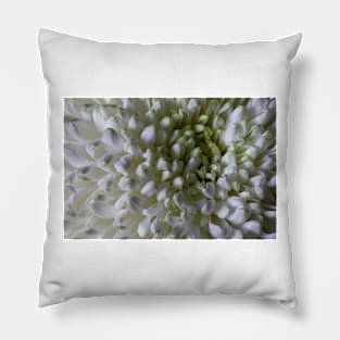 Classic Chrysanthemum Macro Pillow