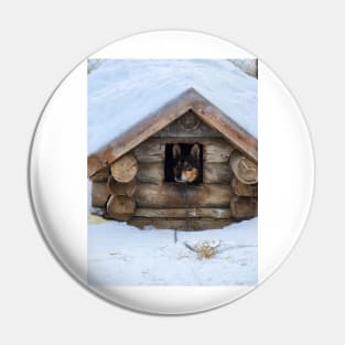 Lapland Pin