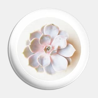 Pink Succulent II Pin