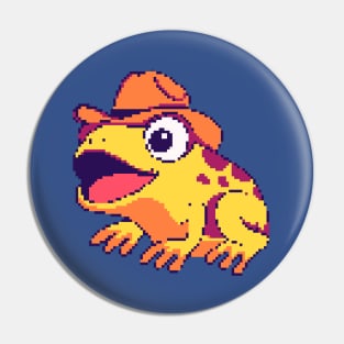 Frog with hat Pin