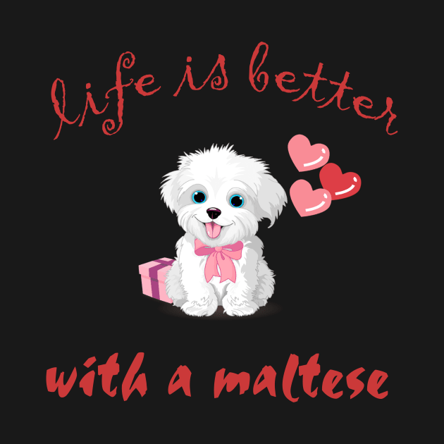 Maltese dog by khalid12