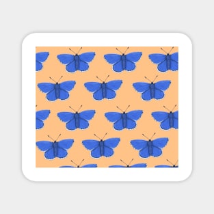 Amazing Common Blue Butterfly Magnet