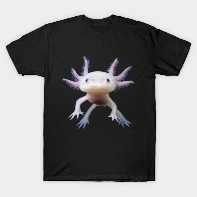 Axolotl - Axolotl - T-Shirt | TeePublic