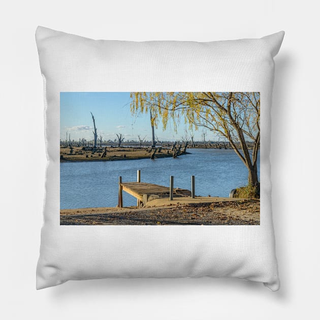 Bleak Progress Pillow by fotoWerner