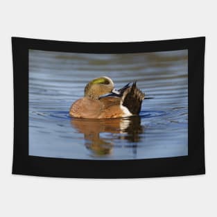 Male Wigeon Tapestry