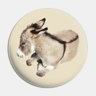 Wild burro, donkey, wildlife, Cutie Pie Pin