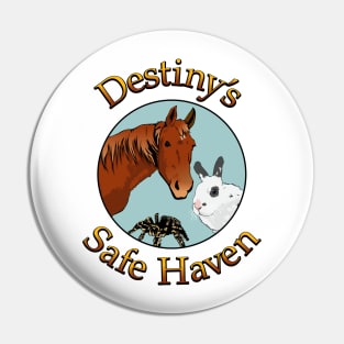 Destiny's Safe Haven Pin