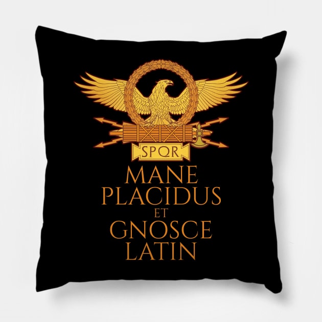 Classical Latin Language - Mane Placidus Et Gnosce Latin Pillow by Styr Designs